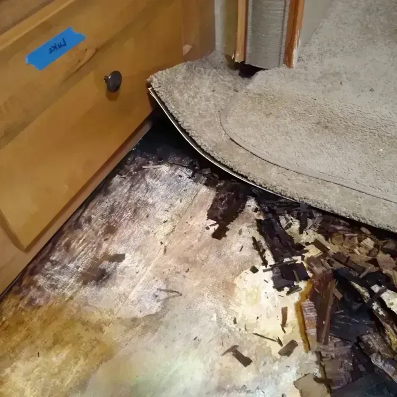 Best Wood Floor Water Damage Service in Allouez, WI